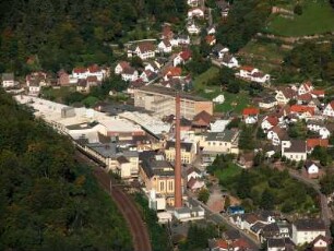 Neidenfels