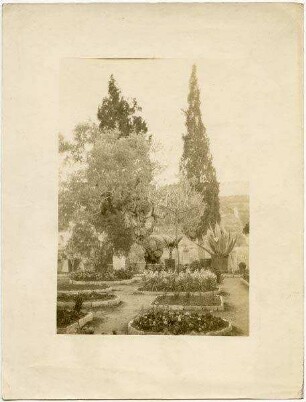 [Jerusalem, Garten Gethsemane]