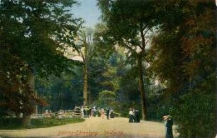Böhlitz-Ehrenberg: Waldpartie
