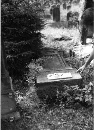 Grabstein 207 (Index: 100095896) Maße HxBxT: 187x62x30 cm Symbolik: Schofar Besonderheit: kulturhistorisch wertvoll / hist.-wiss. Gründe (Gemeindestellung): Grabstein 207