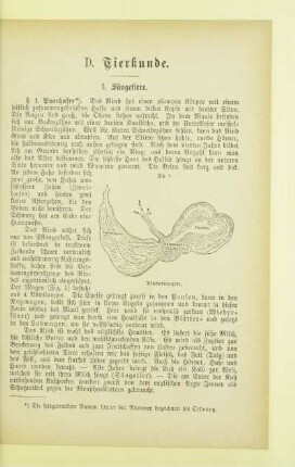 D. Tierkunde