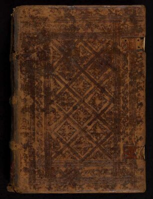Arzneibuch : Ms. Diez. C fol. 48