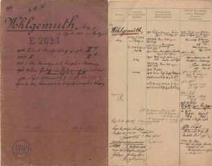 Wohlgemuth, Fritz