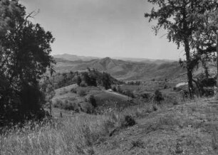 Blick auf das Chercher-Gebirge : Blick vom "Gara Saballe" auf die nördlichen Basaltstufen des Chercher-Gebirges.