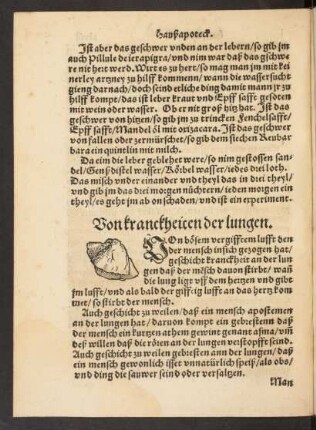 Von kranckheiten der lungen.