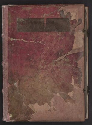 Homiliae in evangelia [u.a.] - BSB Clm 3731