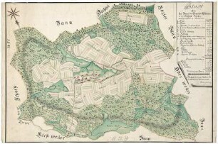 Plan uiber den Bann der Gemeinde Niederweil in der Grafschaft Hauenstein