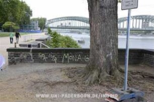 SFK iMR MONA