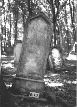 Grabstein 617 (Index: 99900665) Material: Sandstein Zustand: fast völlig verwittert Maße HxBxT: 153x46x26 cm Beschreibung: aufgesockelte Stele mit Dreiecksabschluss: Grabstein 617