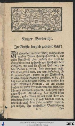 Kurzer Vorbericht.