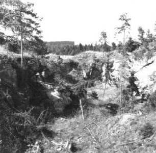 Bad Brambach-Hohendorf. Aufgelassener Steinbruch (Granit) südwestlich der Deckerhäuser