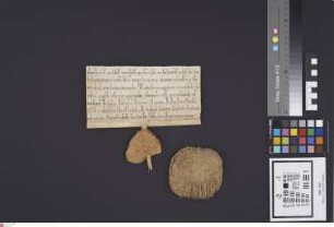 Bensheim: Commentatio inter fratres Laurishamensis et fratres de Eberbach vineae bonis fratrum de Eberbach adjacentis in Bensheim, pro altera in U...