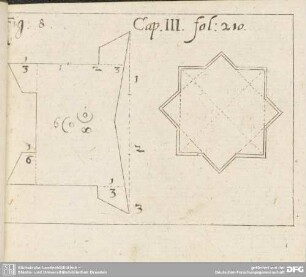 fol: 210. Fig: 8. Cap: III.
