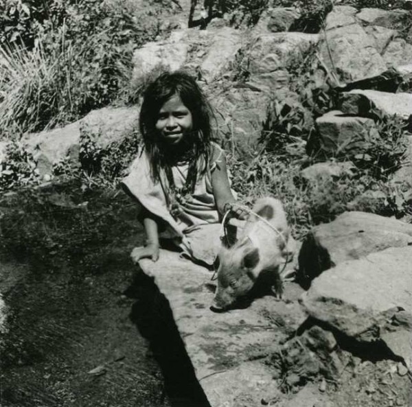 Arhuaco Mädchen führt ihr Schweinchen zur Nahrungssuche aus