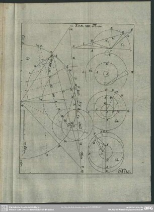 No. 13. Tab. VIII. Theor.