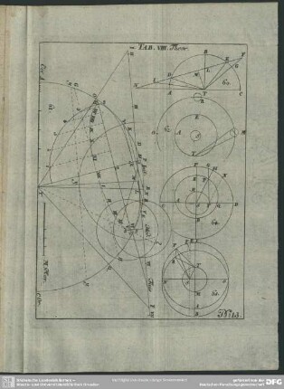 No. 13. Tab. VIII. Theor.