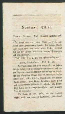Noctuae. Eulen.