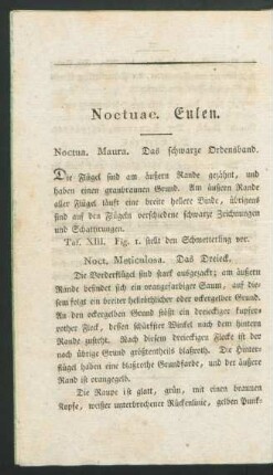 Noctuae. Eulen.
