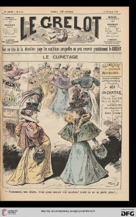Nr. 1.340 (13 Décembre 1896)