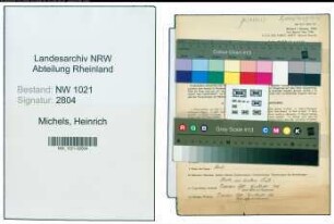 Entnazifizierung Heinrich Michels , geb. 29.05.1904 (Landwirt)