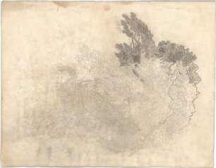 Hauberrisser, Georg von; u. a. Deutschland; Österreich; Skizzen - Baum (Teilansicht)