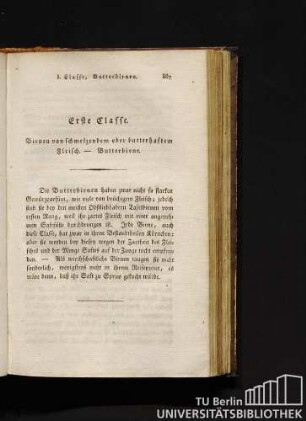Erste Classe. Birnen von schmelzendem oder butterhaftem Fleisch. - Butterbirne.