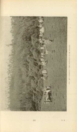 Fig. 52. Leading the buffalo to be killed