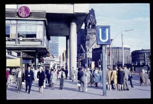 Am Zoo 3.7.65.