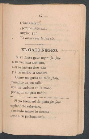 El gato negro.