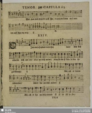 XXIV. O Jesu mein Heiland