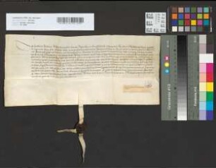Eidesleistung des neugewählten Abtes von Graschaf: Jakob von Ailboum.