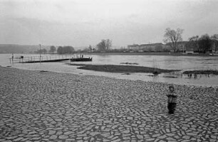 In Dresden an der Elbe