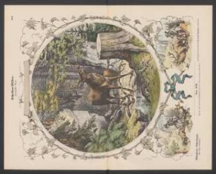 Scheiben-Bilder, zwanzigster Bogen