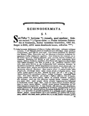Echinodermata