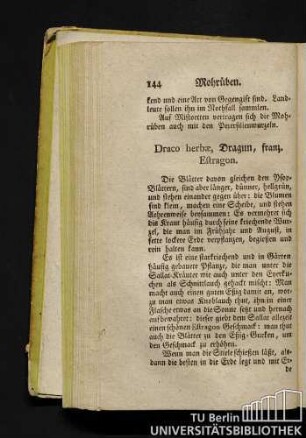 Draco herbae, Dragun, franz. Estragon.