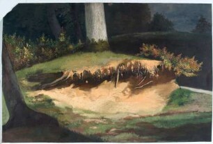 Waldstudie