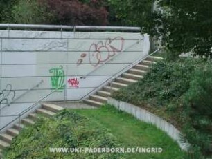 NR1