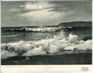 Moonlight Scene on the Pacific
