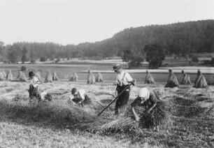 Getreideernte am Glösenstein : Steinbach bei Jöhstadt. Getreideernte am Glösenstein