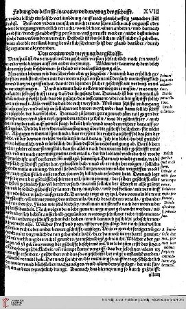 Von worten und meynung der gschrifft.