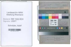 Entnazifizierung Adolf Schnitzler , geb. 08.07.1895 (Verwaltungsangestellter)