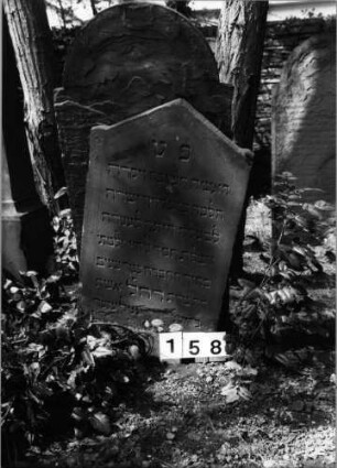 Grabstein 158 (Index: 99629659) Material: Sandstein Zustand: abgeblättert/Textverlust Maße HxBxT: 90x51x8 cm Beschreibung: Stele mit eingezogenem giebelartigem Abschluß: Grabstein 158