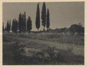Campagna bei Rom - An der Via Appia