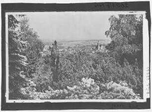 Kamenz. Blick vom Hutberg auf Kamenz - Azaleen-Anlagem
