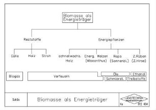 Biomasse als Energieträger