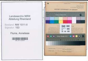 Entnazifizierung Anneliese Flume , geb. 14.08.1918 ()