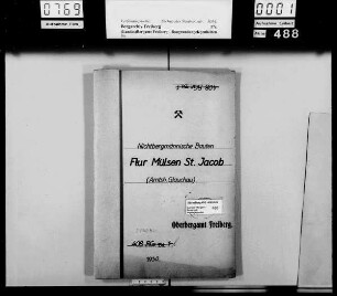 Mülsen St. Jacob bei Zwickau, Flur, Bd. 1