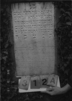 Grabstein 312 (Index: 100093228) Zustand: stark mit Efeu bewachsen Maße HxBxT: 200x59x28 cm Besonderheit: Doppelgrab für Eheleute: Grabstein 312A