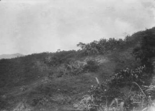Bei Totontepec Villa de Morelos : Blick über eine Berghang mit Vegetation