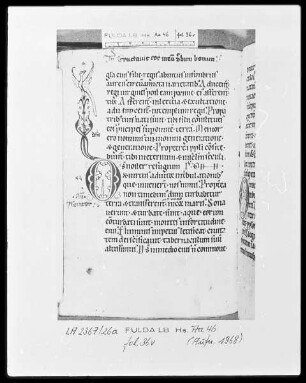 Psalterium cum Canticis — Initiale D (eus) mit Randausläufer und Vogel, Folio 36verso